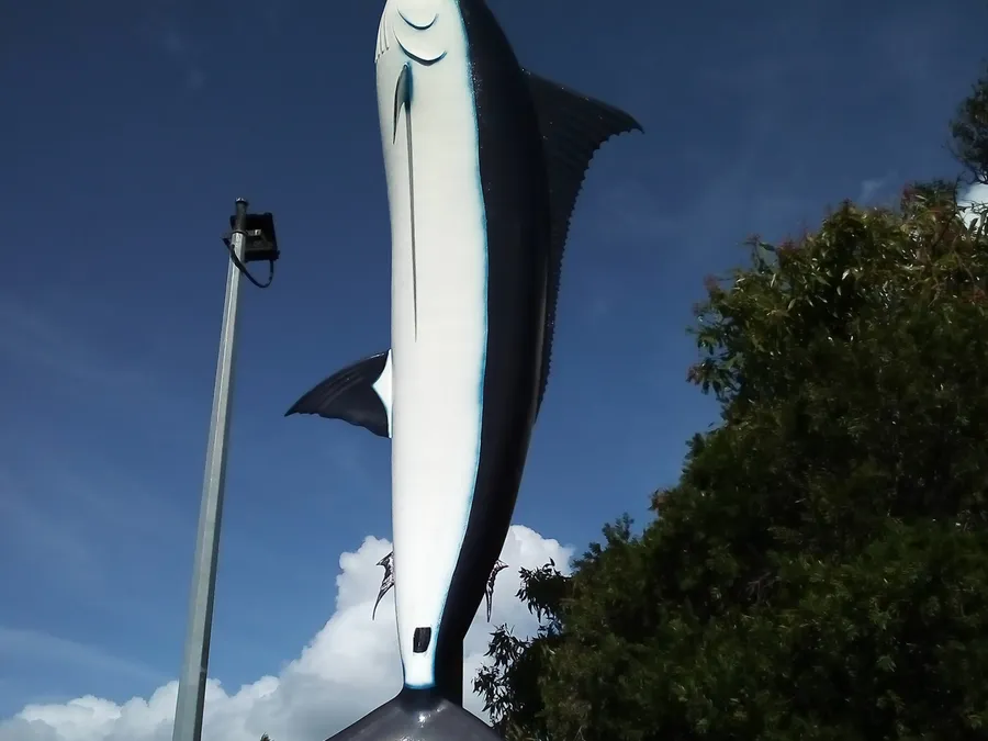things to do in cairns